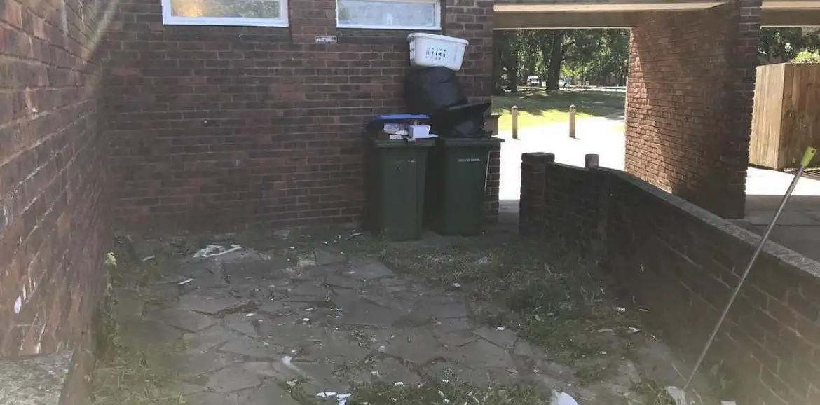 After: The paved bin store swept clear, with just the two green wheelie bins against the brick wall