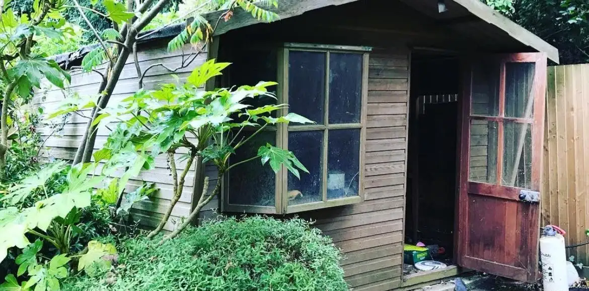 Before: An old wooden shed with its door hanging open, surrounded by overgrown plants